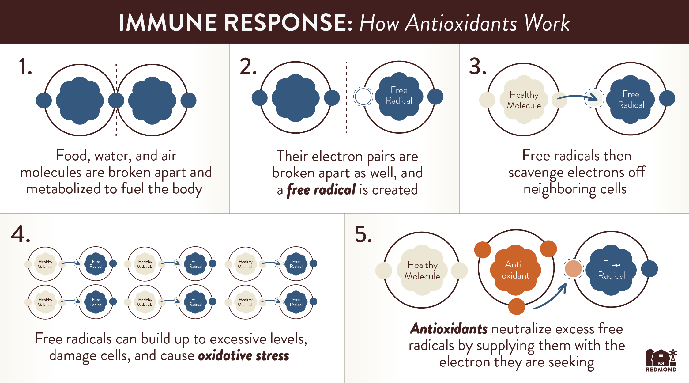 Antioxidants for immune system